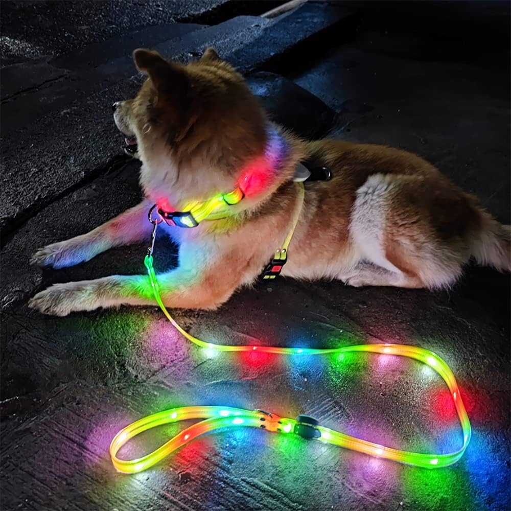 Illuminate Your Night Walks with the LED Light-Up Dog Collar and Leash Set - Waterproof, Rechargeable, and Glow in the Dark!