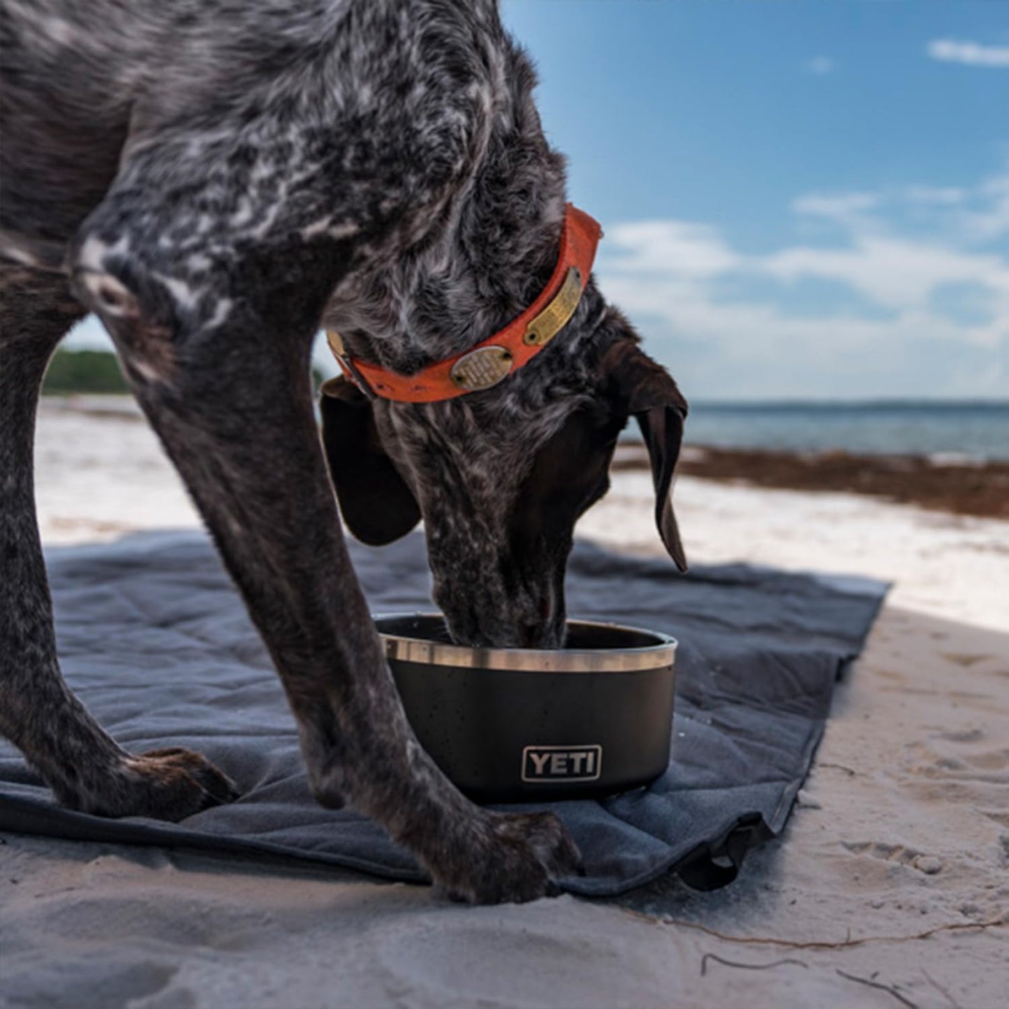 Boomer 8, Stainless Steel, Non-Slip Dog Bowl, Holds 64 Ounces