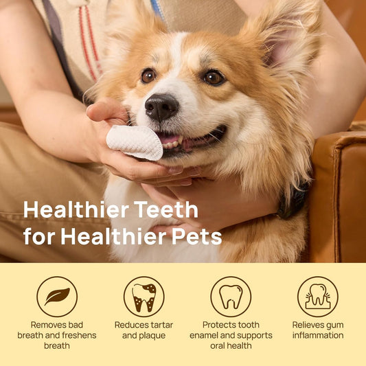 Teeth Cleaning Wipes for Dogs & Cats, Vet-Recommended Remove Bad Breath & Plaque & Tartar Buildup Dog Finger Toothbrush Wipes, Dog Tooth Brushing Kit Remove Stain & Gum Care for Small Animal