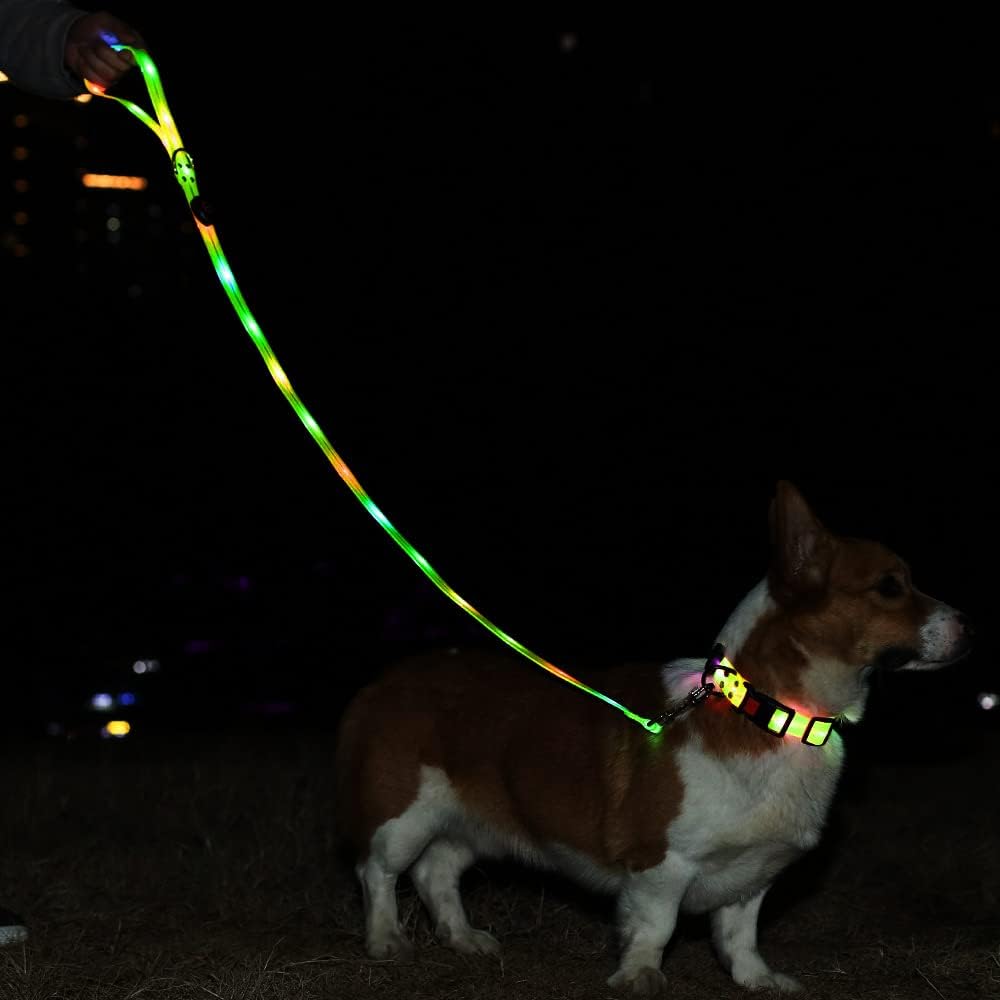 Illuminate Your Night Walks with the LED Light-Up Dog Collar and Leash Set - Waterproof, Rechargeable, and Glow in the Dark!