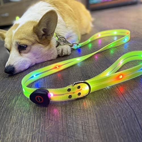 Illuminate Your Night Walks with the LED Light-Up Dog Collar and Leash Set - Waterproof, Rechargeable, and Glow in the Dark!