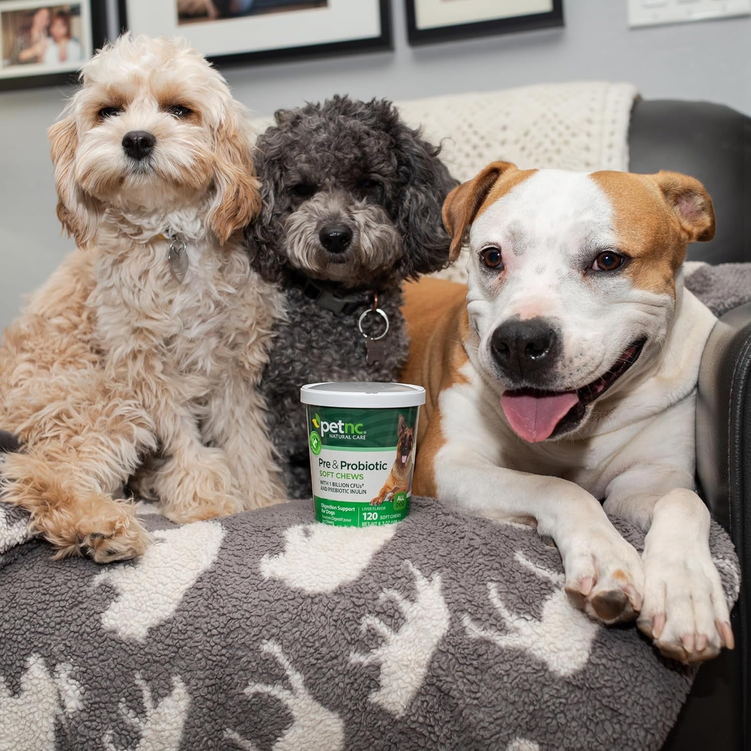 Liver Flavor,Cheese Pre & Probiotic Soft Chews for Dog 120 