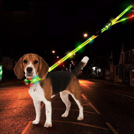 Illuminate Your Night Walks with the LED Light-Up Dog Collar and Leash Set - Waterproof, Rechargeable, and Glow in the Dark!