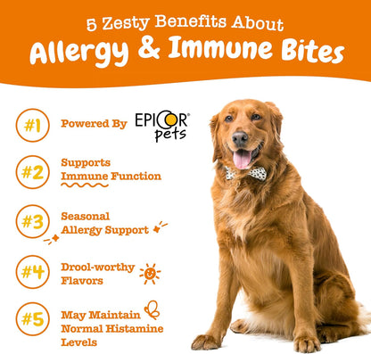 Dog Allergy Relief Chews - Itching Skin & Ear Relief - Probiotics for Allergies - 90 Count Lamb Flavor