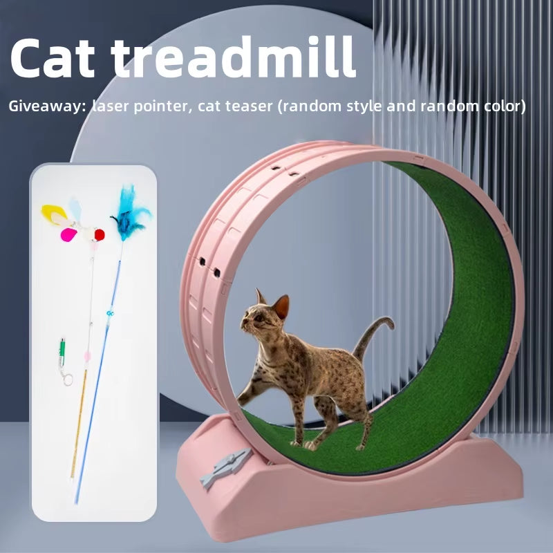 Pet Treadmill Fitness Exercise Silent Cat Climbing Frame Cat Toy Running Wheel