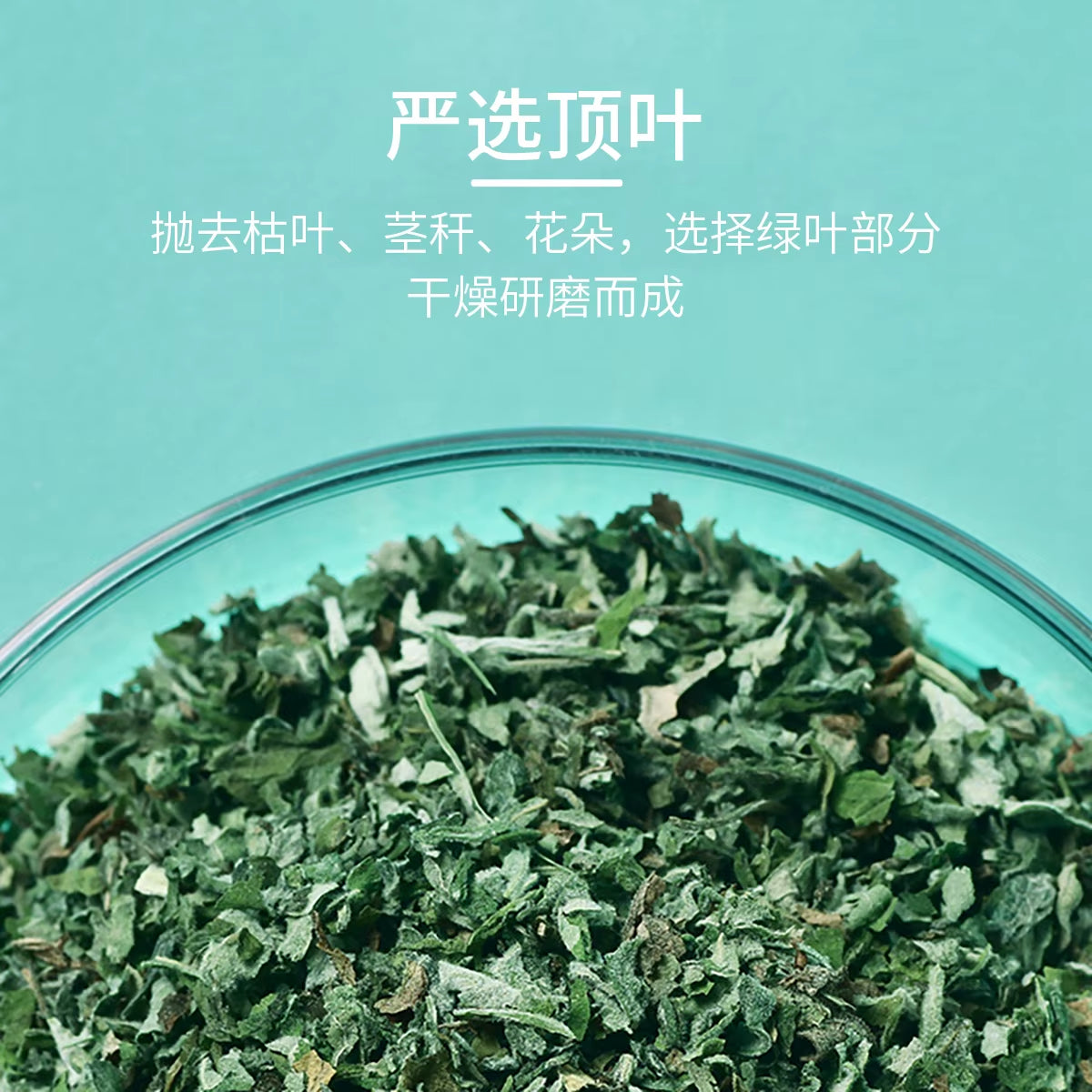 Cat Worry-Free Toys Cat Mint Toy Banana Shape Canvas Material Interactive Toys