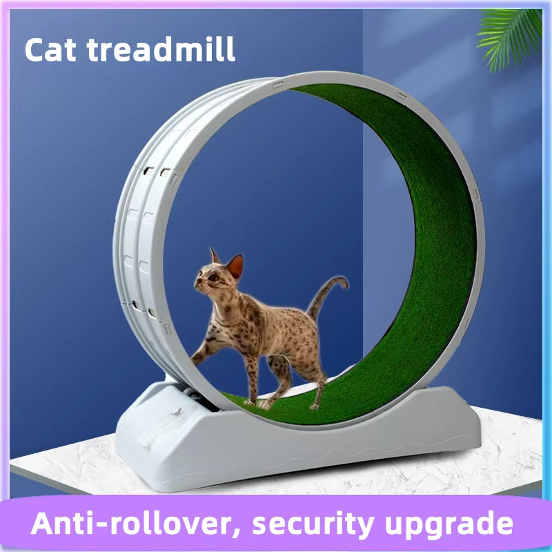 Pet Treadmill Fitness Exercise Silent Cat Climbing Frame Cat Toy Running Wheel