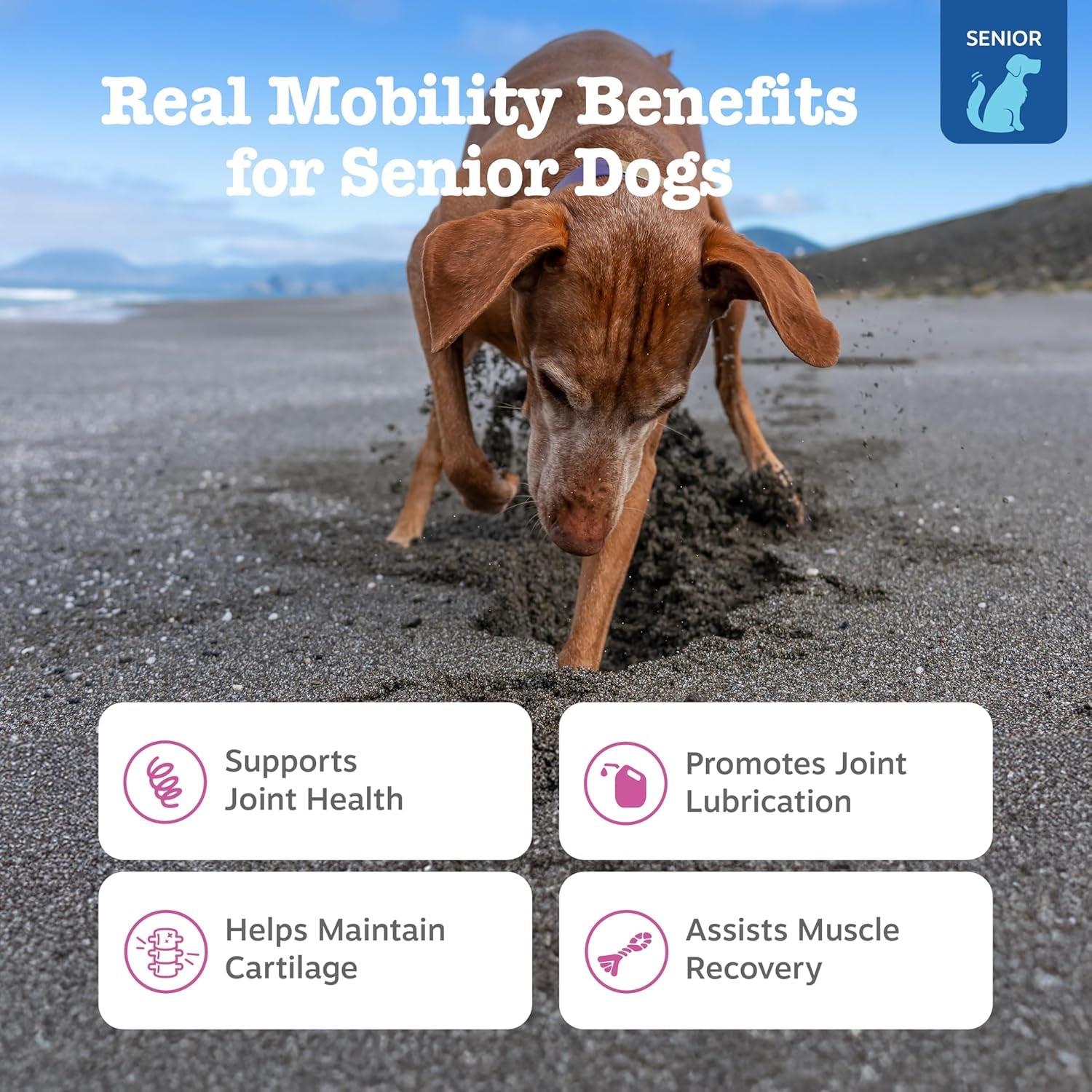 Mobility Bites Joint Supplement for Dogs - Soft Chews with Glucosamine for Dogs, Chondroitin, & MSM + Vitamins C and E - Adv Chicken - 90 Count